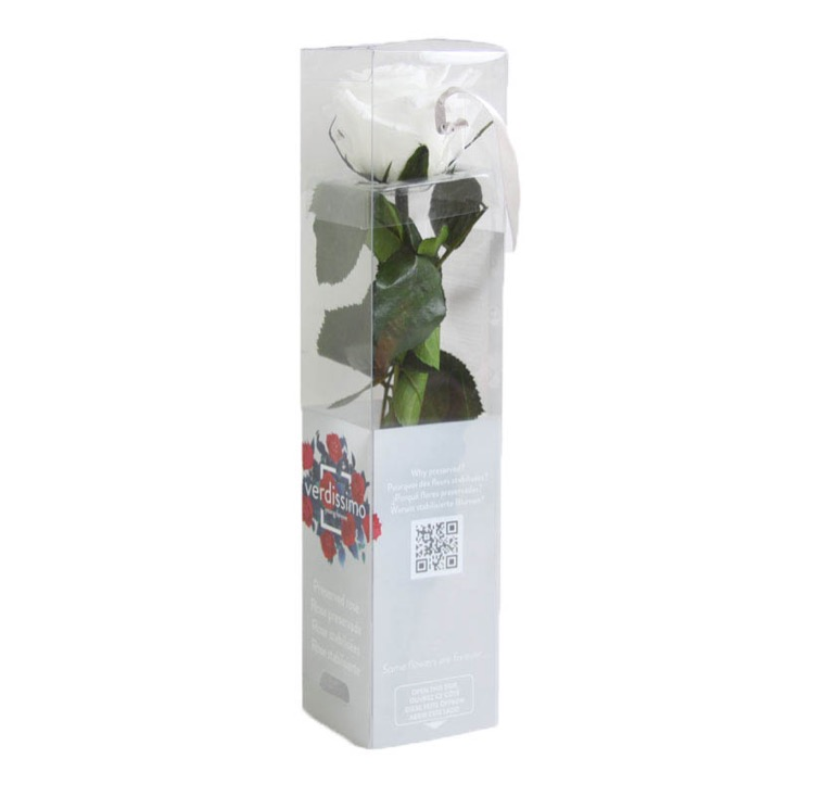 Rosa preservada blanca – Flores Santamaría | Tu floristeria en León